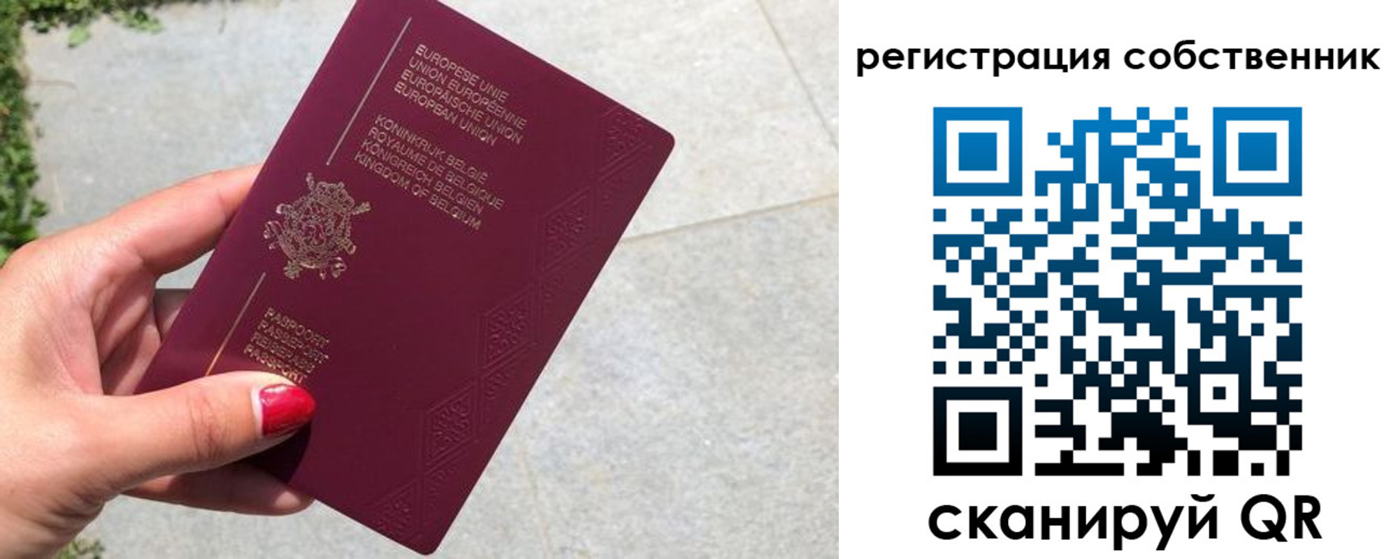 временная регистрация поиск в Камышлове